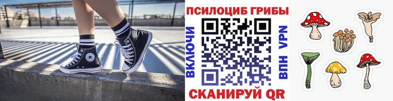 Псилоцибиновые грибы MAGIC MUSHROOMS Апрелевка