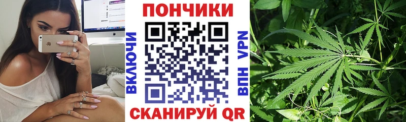 Каннабис THC 21%  наркота  гидра как войти  Апрелевка 